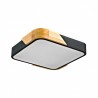 Plafon PLF-13187-BK-WO Santer  Italux