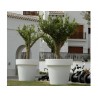 LUMMG060SSNW NEW GARDEN donica MAGNOLIA 60 SOLAR & BATTERY biała