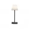 LUMLLS030ANWLNW NEW GARDEN lampa stołowa LOLA SLIM 30 BATTERY anthracite