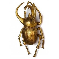 60489 KARE dekoracja ścienna ATLAS BEETLE złota