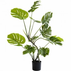 51683 KARE roślina dekoracyjna MONSTERA 110 cm