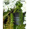 MSE1501100437.WIST MOOSEE lampa wisząca GARDENS WISTERIA 90