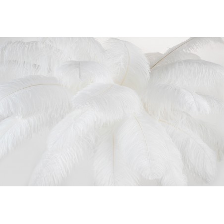 MSE1501100417 Lampa podłogowa TIFFANY 175 biała  mosiądz / naturalne pióra