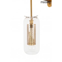 MSE010400211 MOOSEE lampa ścienna LAMPION złota