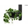 MSE010400222 MOOSEE lampa ścienna PLANT WALL czarna