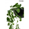 MSE010400222 MOOSEE lampa ścienna PLANT WALL czarna