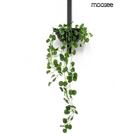 MSE010400222 MOOSEE lampa ścienna PLANT WALL czarna