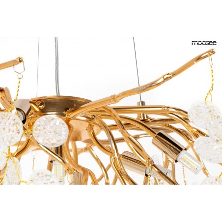 5900168832954 MOOSEE lampa wisząca RIVIERA 80 złota /   clear