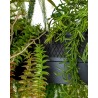 MSE1501100437 MOOSEE lampa wisząca GARDENS 90 czarna