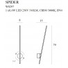 MAXLIGHT W0297 KINKIET SPIDER ZŁOTY IP44