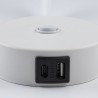 NOWOŚĆ 10202LAGOS WHITE KINKIET 1 USB Tk Lighting