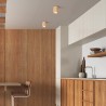 NOWOŚĆ 10121EVE WOOD BUK LAMPA SUFITOWA 1 Tk Lighting