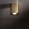 NOWOŚĆ 10129ORION M GOLD LAMPA SUFITOWA 1 Tk Lighting