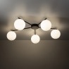 NOWOŚĆ 10262ELTON BLACK LAMPA SUFITOWA 5 Tk Lighting