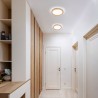 NOWOŚĆ 18004AQUA WOOD BUK 325 24W LED Tk Lighting