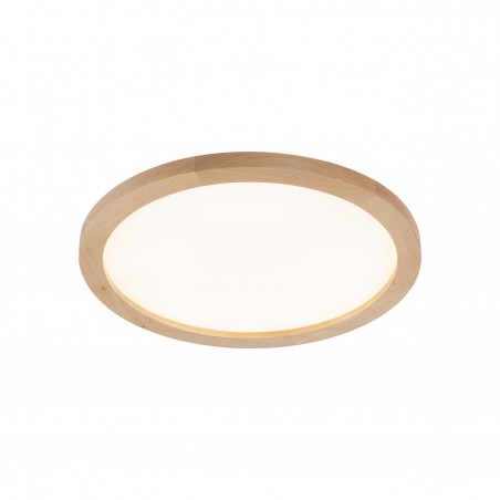 NOWOŚĆ 18011AQUA WOOD BUK 400 36W LED Tk Lighting