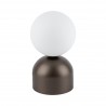 NOWOŚĆ 16043MIKI BROWN LAMPKA NOCNA 1 Tk Lighting