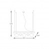NOWOŚĆ 5555 PLANT SHELF LAMPA WISZĄCA CZARNA/BLACK ZUMA LINE