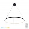 NOWOŚĆ 2023201-BK80 BRENO LAMPA WISZĄCA CZARNA/BLACK ZUMA LINE