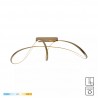 NOWOŚĆ 20026C-GD FERMI LAMPA SUFITOWA ZŁOTA/GOLD ZUMA LINE