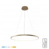 NOWOŚĆ 2023201-GD60 BRENO LAMPA WISZĄCA ZŁOTA/GOLD ZUMA LINE