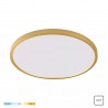 NOWOŚĆ WM-BP1108-L-G CAMI LAMPA SUFITOWA ZŁOTA/GOLD ZUMA LINE