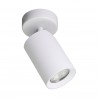NOWOŚĆ TLS006-WH TORE LAMPA SUFITOWA BIAŁA/WHITE ZUMA LINE