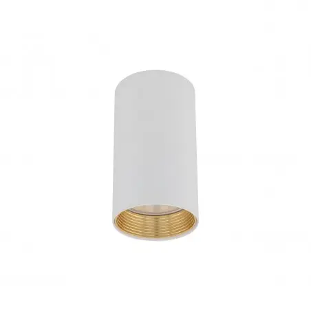 NOWOŚĆ 10719AMIS WHITE DOWNLIGHT Tk Lighting