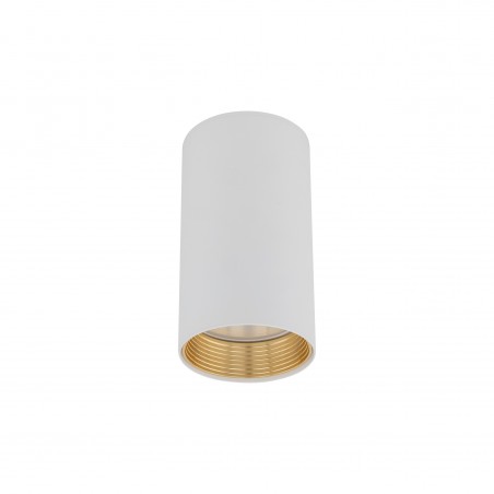 NOWOŚĆ 10719AMIS WHITE  DOWNLIGHT Tk Lighting