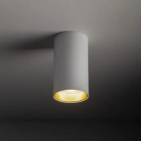 NOWOŚĆ 10719AMIS WHITE DOWNLIGHT Tk Lighting
