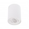 MAXLIGHT C0067 LAMPA SUFITOWA BASIC ROUND BIAŁA