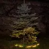 NOWOŚĆ EKO1449Lampa Solarna Pot 3000K IP44 Milagro