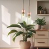 NOWOŚĆ ML1824Lampa wisząca MOLLY GREEN 1xE14 Milagro