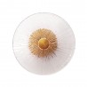 NOWOŚĆ MAXLIGHT W0356 KINKIET ALLURE 1L CLEAR GLASS