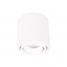 NOWOŚĆ MAXLIGHT C0256 LAMPA SUFITOWA FIX 6W BIAŁA