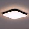 NOWOŚĆ ML1836 Plafon Nemo Czarny 36W LED Milagro