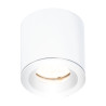 NOWOŚĆ MAXLIGHT C0215 LAMPA SUFITOWA FORM BIAŁA GU10 IP65
