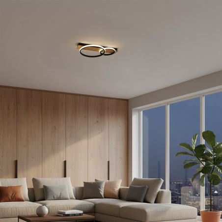 NOWOŚĆ ML1851 Lampa sufitowa ROWENA 14W LED Milagro