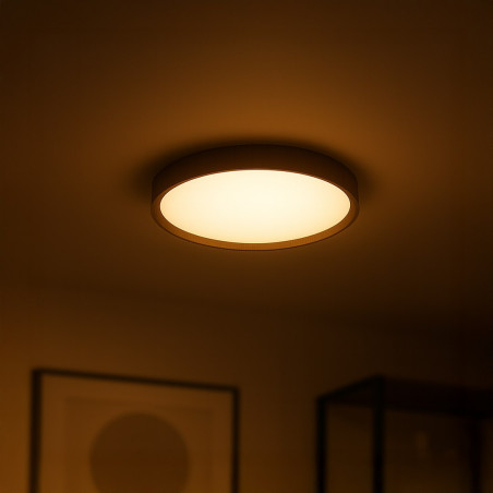 NOWOŚĆ ML2054 Plafon FOREST 24W LED Ø390 Milagro