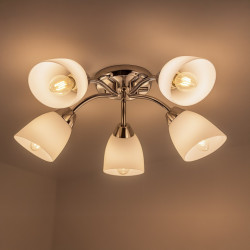 NOWOŚĆ ML2267 Lampa sufitowa PORTOS 5xE14 Milagro