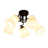 NOWOŚĆ ML2258 Lampa sufitowa Pafos Black 5xE27 Milagro
