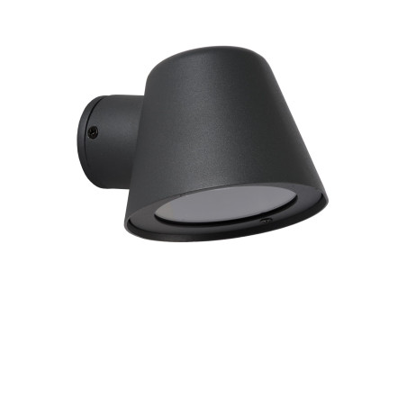Lampa cienna zewnętrzna DINGO 14881/05/30 Lucide