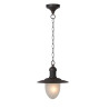 Lampa wiszšca zewnętrzna ARUBA 11872/01/97 Lucide