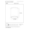 Lampa sufitowa zewnętrzna TUBIX 27870/01/30 Lucide