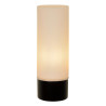 Kinkiet JESSE 04202/01/30 Lucide