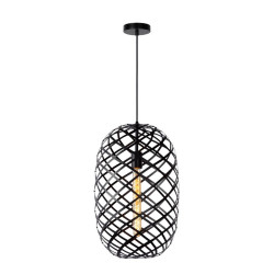 Lampa wiszšca WOLFRAM 21417/32/30 Lucide