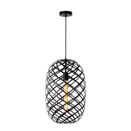 Lampa wiszšca WOLFRAM 21417/32/30 Lucide