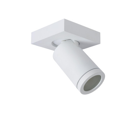 Plafon TAYLOR 09930/05/31 Lucide