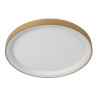 Plafon VIDAL 46103/38/02 Lucide
