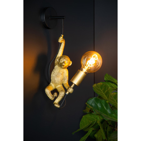Kinkiet EXTRAVAGANZA CHIMP 10202/01/30 Lucide
